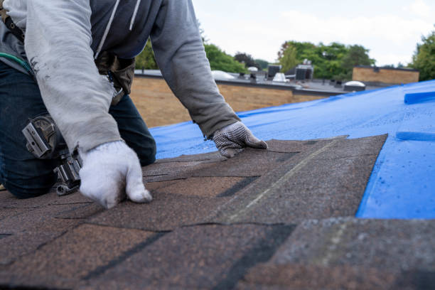 Roof Gutter Cleaning in Lewisville, TX