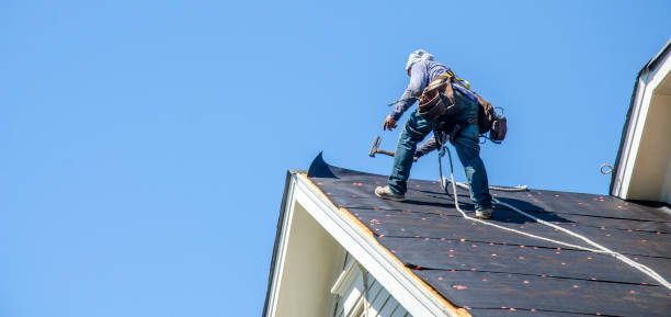 Quick and Trustworthy Emergency Roof Repair Services in Lewisville, TX